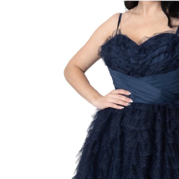 Tulle Cupcake Swing Dress - Navy Blue - Picture 5 of 7